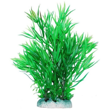 УЮТ Растение аквариумное Гемиантус зеленый, 20 см – интернет-магазин Ле’Муррр